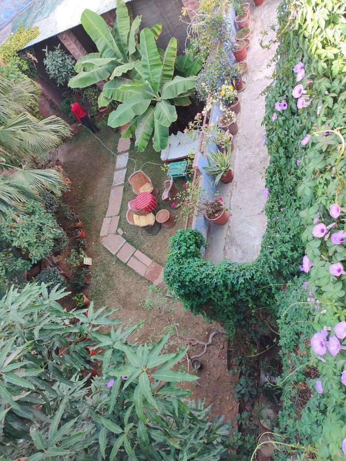 Bristows Haveli Homestay Jodhpur  Ngoại thất bức ảnh